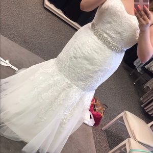 David’s Bridal Mermaid Dress w sash, corset, slip.